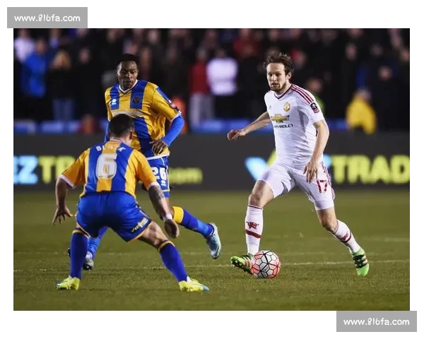 高清足球赛事直播APP下载指南畅享全球赛场精彩即时比分数据分析权威解说 - 副本 - 副本 - 副本 (36) - 副本 - 副本 - 副本